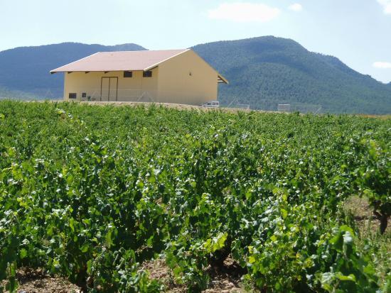 Bodegas Monastrell