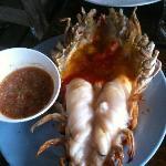 La Vid de Ojeda