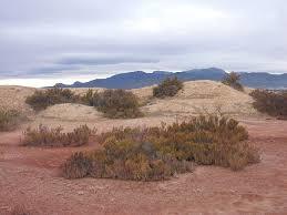 los Saladares del Guadalentín