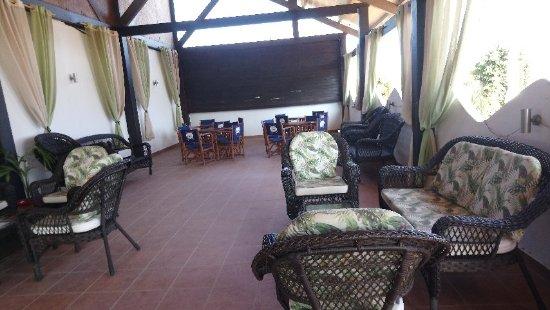 The Palm Lounge