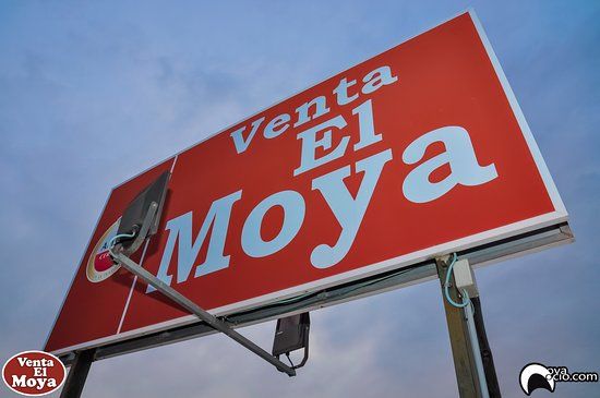 Moya